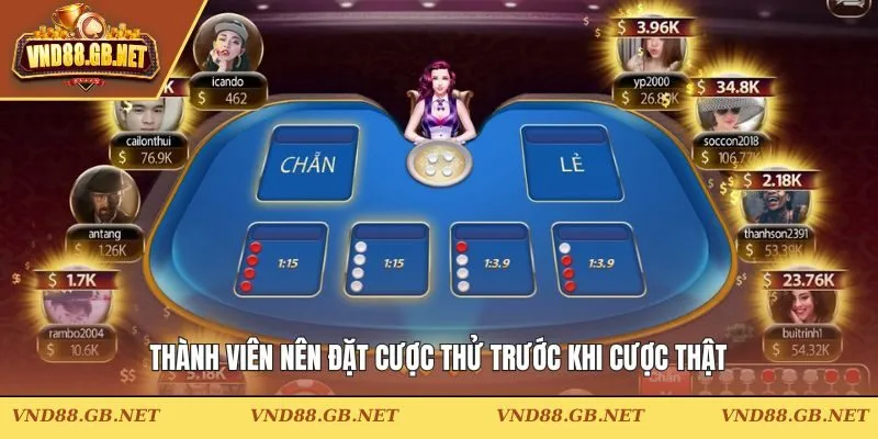Thành viên nên đặt cược thử trước khi cược thật